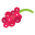 logo groseille